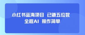 小红书蓝海项目，全程AI，操作简单，已挣五位数-风淘社