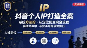 抖音个人IP系统落地实操大课,实操课程,辅助落地-风淘社