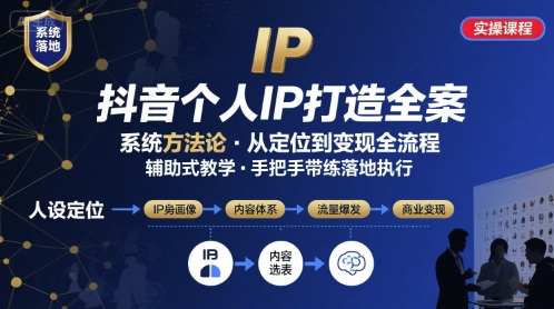 抖音个人IP系统落地实操大课,实操课程,辅助落地-风淘社