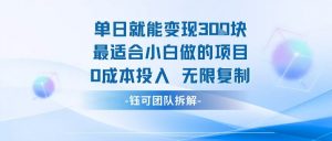 单日就能变现3张最适合小白做的项目0成本投入 无限复制-风淘社