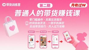 小红书带货第二期训练营，普通人月收过W的带货课，时间自由，零门槛无压货，一部手机即可操作-风淘社