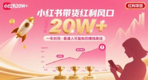 一年时间靠小红书带货项目年入20w+,最不能错的大红利项目-风淘社