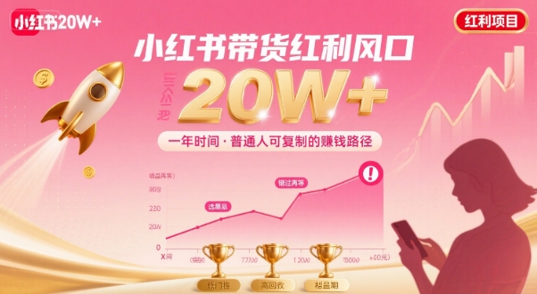 一年时间靠小红书带货项目年入20w+，最不能错的大红利项目-风淘社