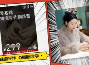 小集电商水晶直播带货课-抖音电商教程-风淘社
