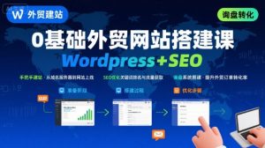 WordPress外贸建站+SEO优化课程，手把手教你从0到1搭建可获得询盘的外贸网站-风淘社