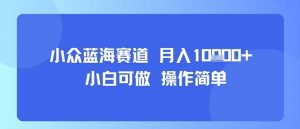 小众蓝海赛道，小白可做，操作简单，每天30分钟，月入1W+-风淘社