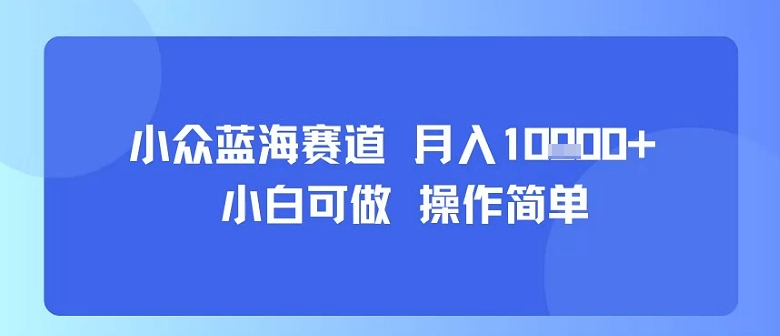小众蓝海赛道，小白可做，操作简单，每天30分钟，月入1W+-风淘社