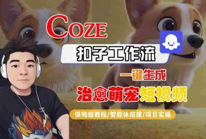 COZE扣子工作流一键生成治愈萌究短视频,保姆级教程-智能体搭建-项目实操-风淘社