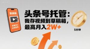【头条号托管 】我存视频到草稿箱,你每天5分钟发布,最高月入2W+【揭秘】-风淘社