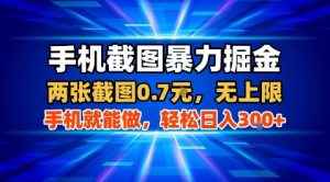 手机截图暴力掘金,两张截图0.7米,一部手机就能做,轻松日入3张+【揭秘】-风淘社