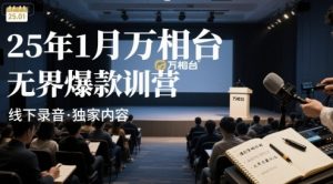 25年1月万相台无界爆款特训营线下录音-风淘社