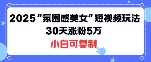 不露脸也能火!2025“氛围感美女”短视频玩法,30天涨粉5W小白可复制-风淘社