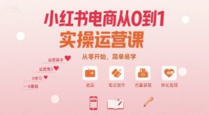 小红书电商从0到1实操运营课,从零开始,简单易学-风淘社