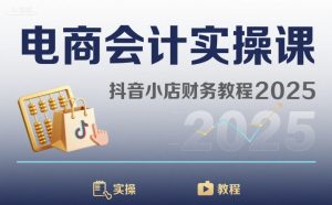 电商会计实操课-抖音小店财务教程2025-风淘社