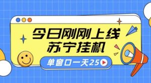 苏宁全自动采集挂G项目 稳定可批量 单窗口收益30+ 附教程【揭秘】-风淘社
