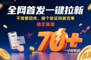全网首发一键拉新项目，不需要回传，接个验证码就完事，稳定靠谱，一小时收益70+【揭秘】-风淘社