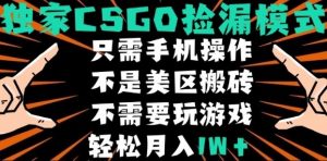 CSGO自动捡漏项目,最新独家玩法,不是美区搬砖,不需要了解和玩游戏,新手小白轻松月入1W+【揭秘】-风淘社