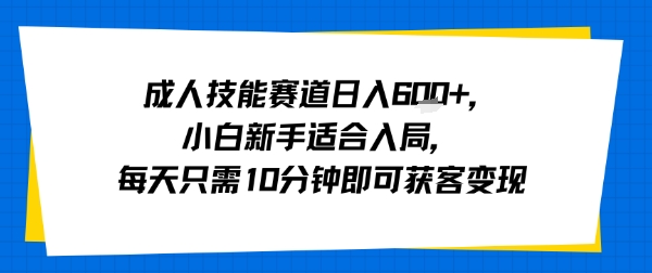 成人技能赛道日入多张，小白新手适合入局，每天只需10分钟即可获客变现-风淘社