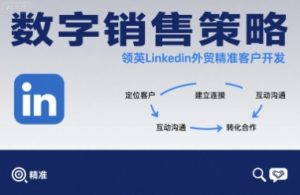 数字销售策略领英LinkedIn外贸精准客户开发-风淘社
