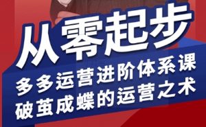 拼多多运营进阶系统课，从零起步，多多运营进阶体系课，破茧成蝶的运营之术-风淘社