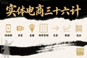 实体电商三十六计,短视频-获客-直播-矩阵营销-流量-数据-选品-风淘社