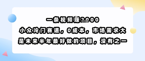 一条视频挣1k,小众冷门赛道,0成本,市场需求大,是未来半年最好做的项目,没有之一-风淘社