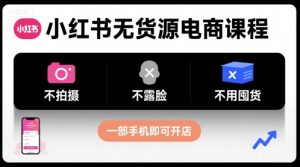 小红书无货源电商课程,不拍摄不露脸不用囤货,一部手机即可开店-风淘社