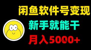 闲鱼软件号变现，新手就能干，月入5k+-风淘社