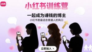 小红书训练营一起成为賺钱的博主,小红书是最适合普通人的风口-风淘社