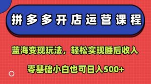 拼多多开店运营课程:蓝海变现玩法,轻松实现睡后收入,零基础小白也可日入5张-风淘社