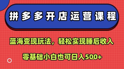 拼多多开店运营课程:蓝海变现玩法,轻松实现睡后收入,零基础小白也可日入5张-风淘社