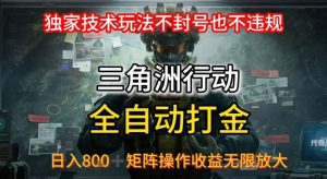 三角洲最新全自动G机,独家技术玩法,不封号也不违规, 日入8张+可矩阵操作,收益无限放大【揭秘】-风淘社
