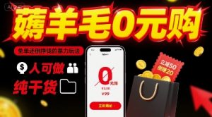 薅羊毛0元购，免单还倒挣钱的暴力玩法，人人可做，纯干货-风淘社