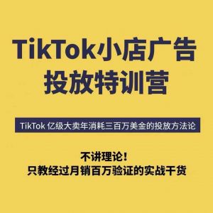 TikTok小店广告投放特训营，6天破局计划专治各种“投不动”，教你经过月销百万验证的实战干货-风淘社