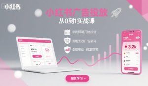 小红书广告投放从0到1的实战课,学完即可开始投放,拒绝无效广告消耗-风淘社