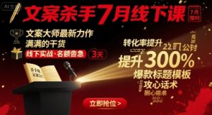 文案杀手7月线下课,文案大师最新力作,满满的干货-风淘社