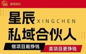 全网首发星辰私域项目合集，最新实操玩法，短期快速实现变现-风淘社