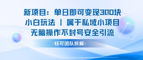新项目单日即可变现3张的小白玩法无脑操作不封号安全引流-风淘社