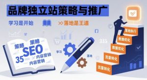 品牌独立站策略与推广,学习是开始,落地是王道-风淘社