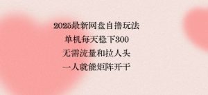 2025最新网盘自撸玩法,单机每天稳下3张,无需流量和拉人头,一个人就可轻松矩阵,全网独一份【揭秘】-风淘社