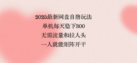 2025最新网盘自撸玩法，单机每天稳下3张，无需流量和拉人头，一个人就可轻松矩阵，全网独一份【揭秘】-风淘社