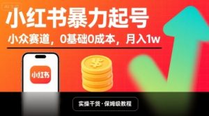 小红书暴力起号，小众赛道，0基础0成本，月入1w-风淘社