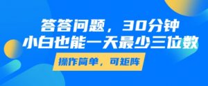 答答问题，30分钟，小白也能一天最少也有三位数，操作简单-风淘社