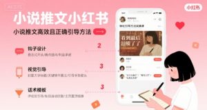 小说推文小红书高转化引导方法实操课，小说推文高效且正确引导方法-风淘社