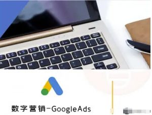 数字营销-GoogleAds-外贸跨境电商教程-风淘社