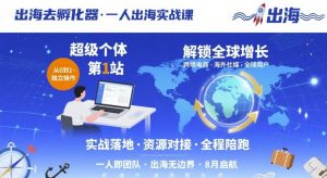出海去孵化器,一人出海实战课,超级个体第1站,解锁全球增长-风淘社