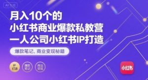 月入10个的小红书商业爆款私教营,一人公司小红书IP打造,爆款笔记,商业变现秘籍-风淘社