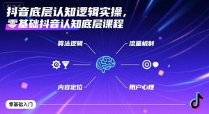 抖音底层认知逻辑实操,零基础抖音认知底层课程-风淘社