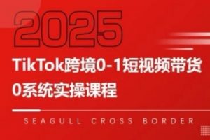 TikTok跨境0-1短视频带货,系统拆解TikTok跨境带货全链路,实现跨境可持续盈利-风淘社