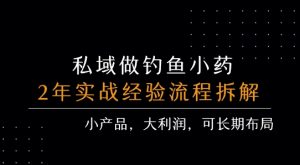 私域做钓鱼小药 每单利润3张+ 详细流程拆解-风淘社